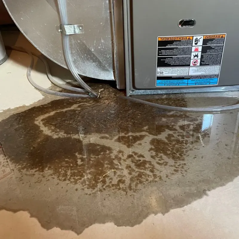 Pipe Burst and Leak Restoration in Howards Grove, WI